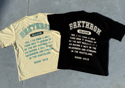 BEIGE ISAIAH 43:19 TEE